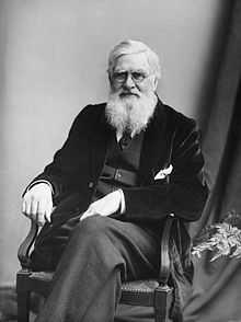 220px-Alfred-Russel-Wallace-c1895
