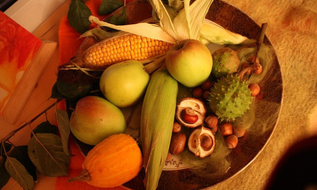 Giving Thanks for Good Health with 15-40 Connection