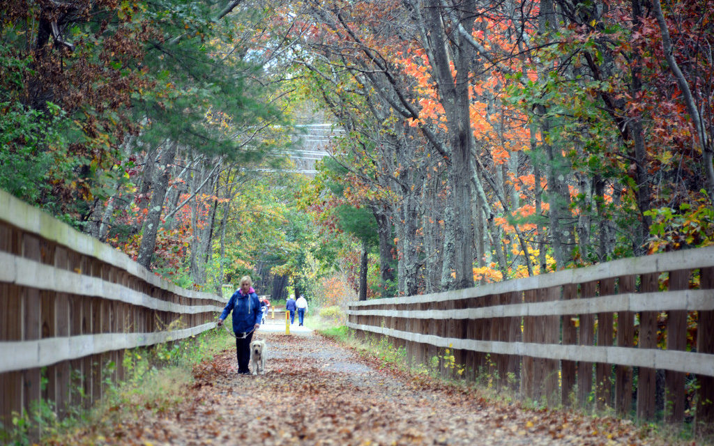 Westford Conservation Trust Named First Beneficiary of Coghlin Companies’ New 5C Program