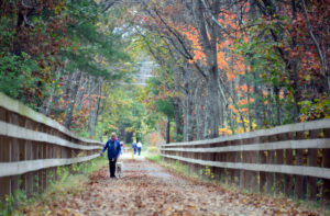 trail in westford