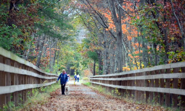 Westford Conservation Trust Named First Beneficiary of Coghlin Companies’ New 5C Program